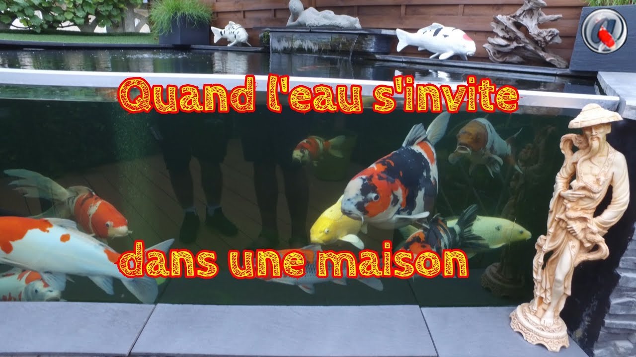 Quand l'eau s'invite dans une maison