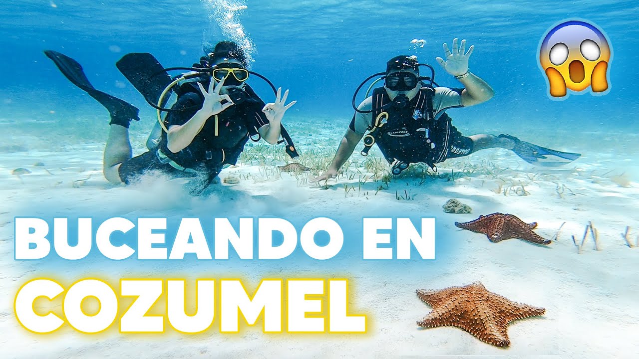 🤿 BUCEO en el MAR de COZUMEL ✅ Sin CERTIFICACIÓN 🔴 ¿Cuánto cuesta el buceo en Cozumel? | CANCÚN 🐠
