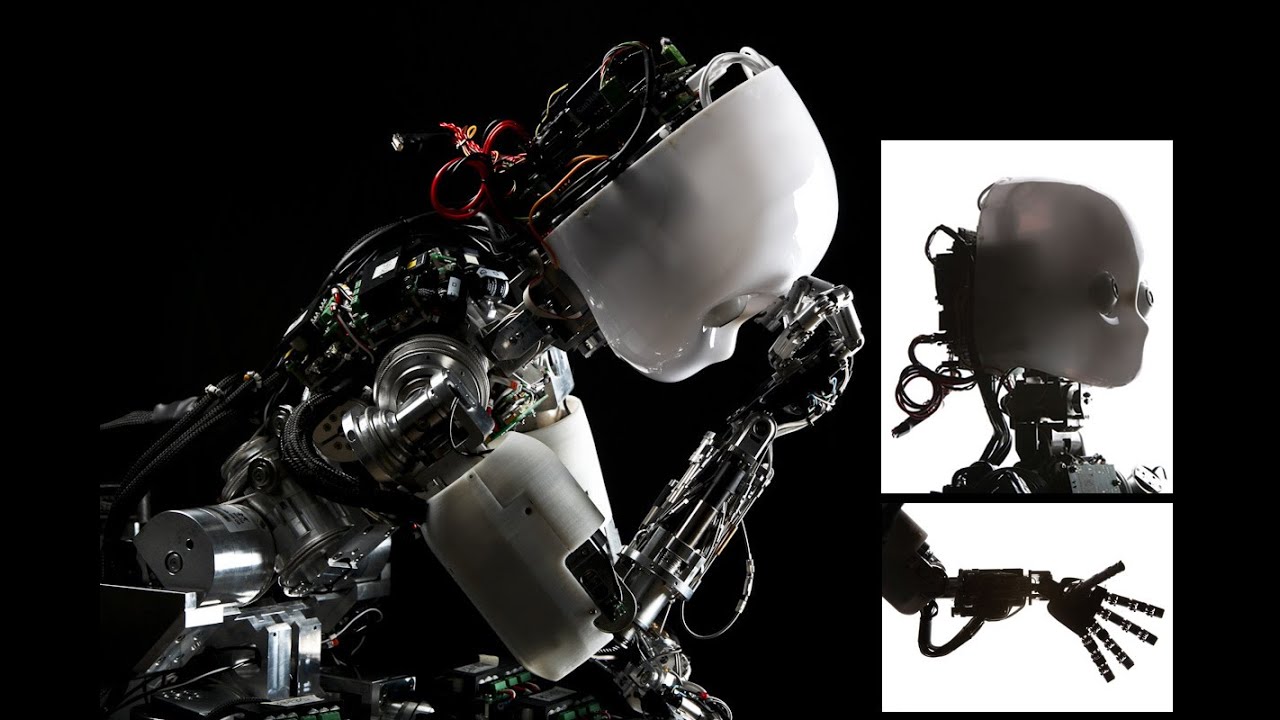 iCub  A Shared Platform For Research In Robotics & AI -  Part 1