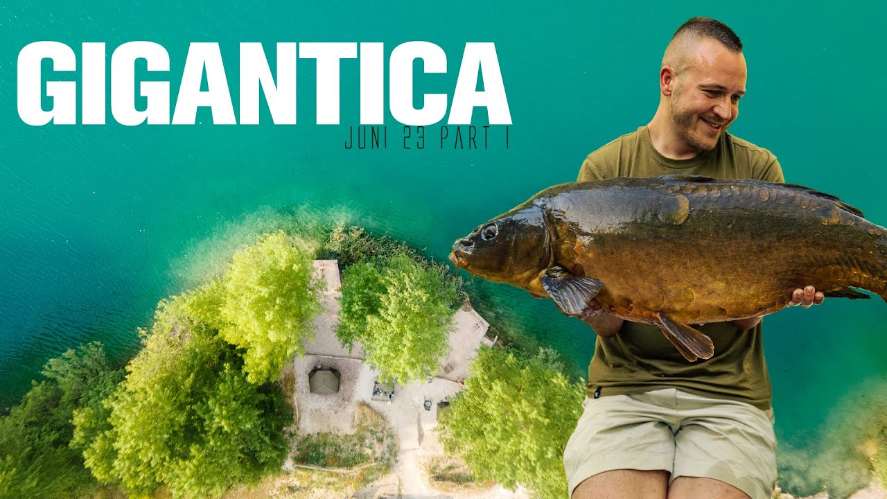 Das ERSTE mal am GIGANTICA 🐋