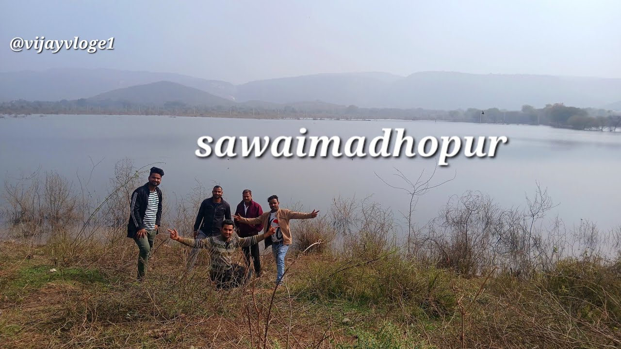 सवाईमाधोपुर  टायग्रेस  के पास तालाब में बड़ा मगर मच्छ  सावधान रहें  #sawaimadhopur 