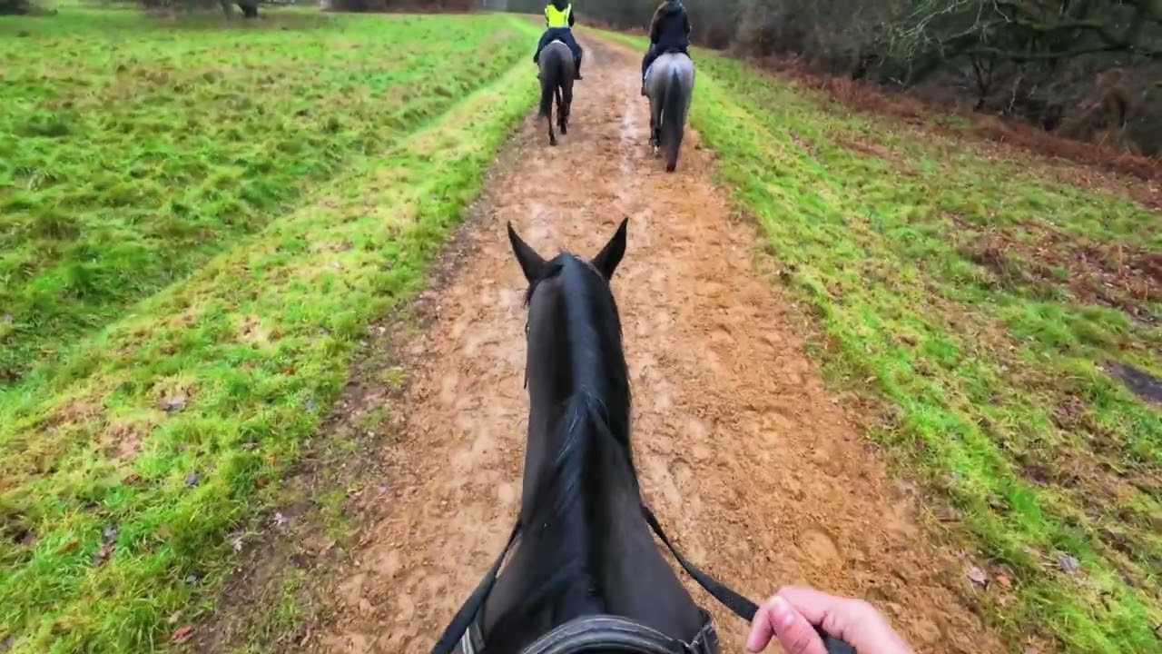 Horse Riding in Windsor, England | Countryside Experience