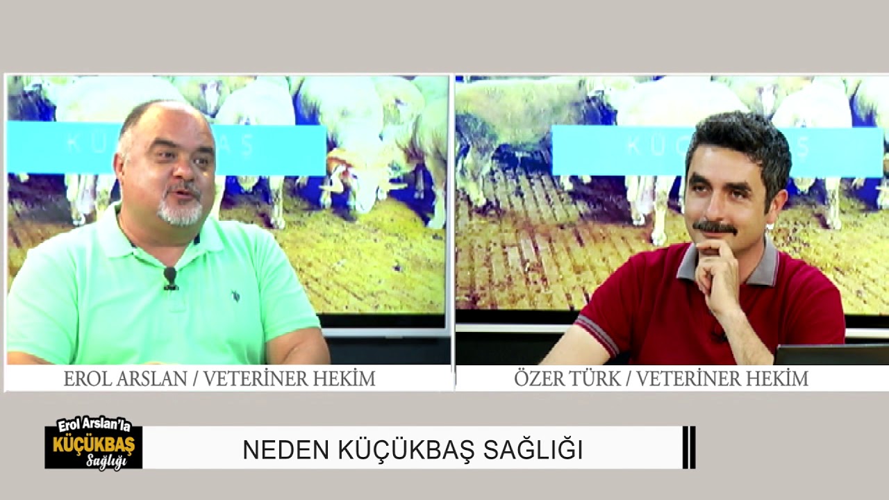 EROL ARSLAN'LA KÜÇÜKBAŞ SAĞLIĞI | NEDEN KÜÇÜKBAŞ SAĞLIĞI - 1.Bölüm