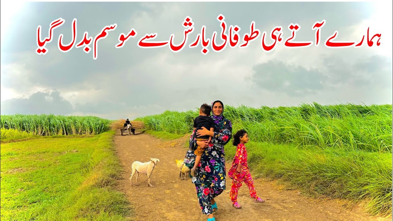 Hamaray Yahan Aate Hi Toufani Barish, Mousam Badal Gya I Village Family Vlogs