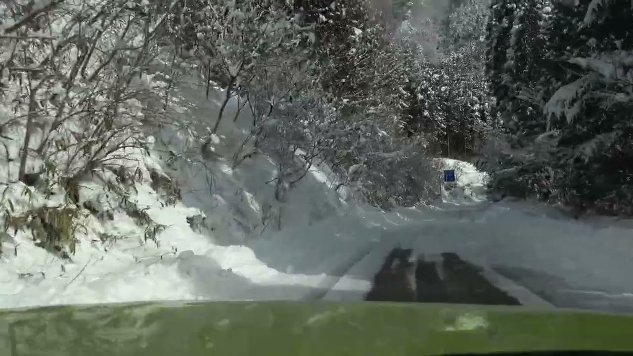 こもれびロード（畑佐和良大規模林道）積雪の様子