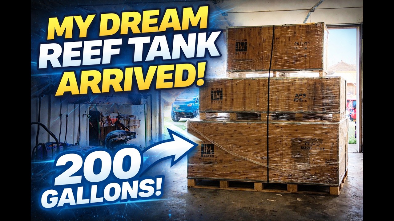 Innovative Marine EXT 200 Unboxing | My 200 Gallon Reef Build Begins (Ep.1)