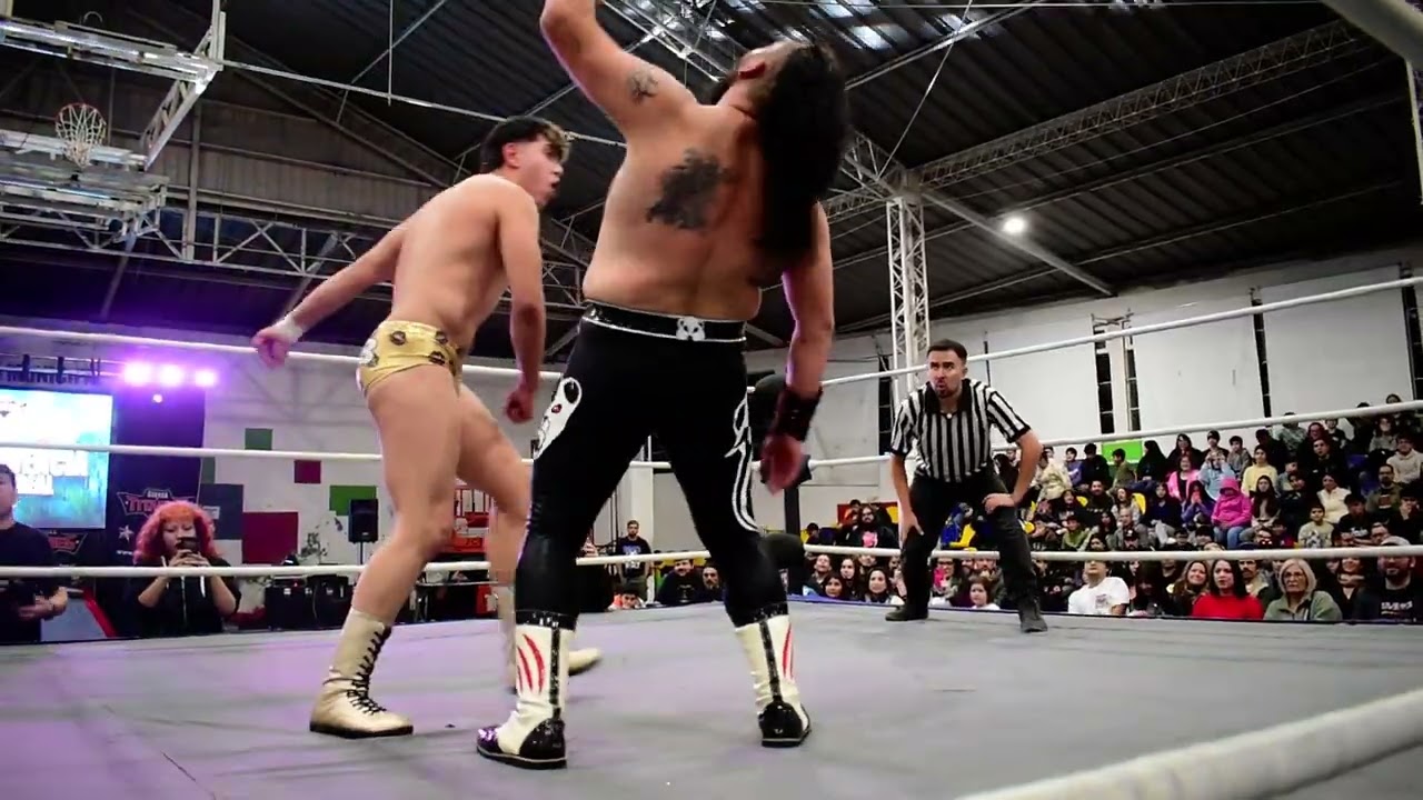 Gran oso Vs Hans Kaempfer (c)