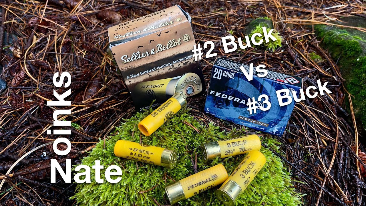 20 Gauge #3 Buck Federal vs. #2 Buck Sellier & Bellot #czusa #mossberg #ammunition
