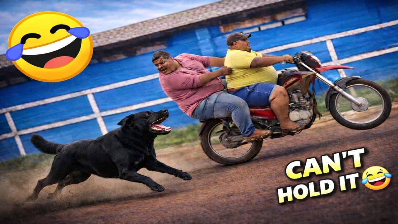 Try Not To Laugh 😆 The Best Funny Videos Of The Year Part17