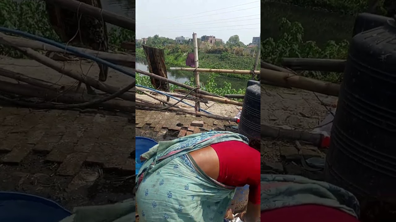 আটটা দামরি বাসোর একটা স্যার বাঁছোর একটা গাভী মোট 10 টা 4 লক্ষ 20 হাজার টাকা  যোগাযোগ  01718 130 315 