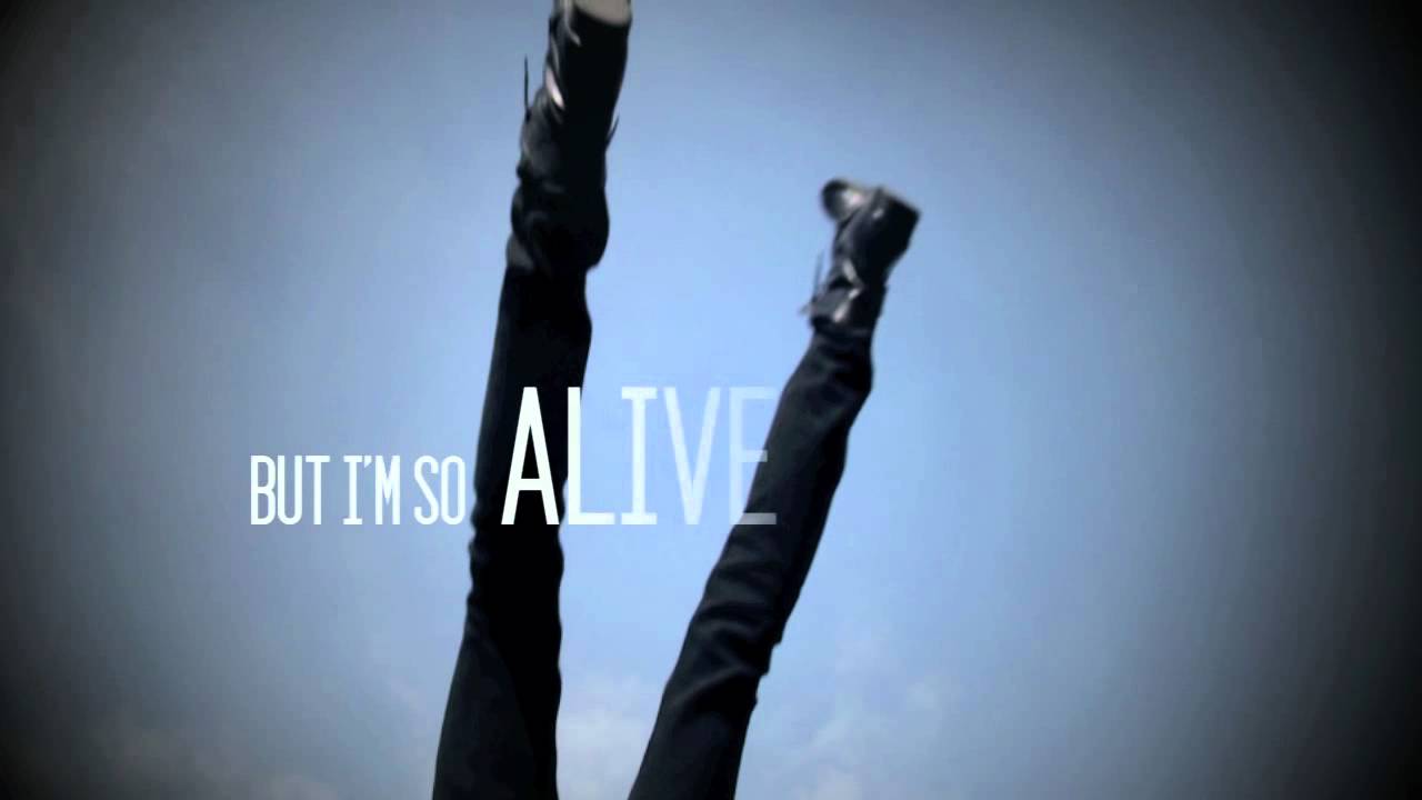 FREEFALL - Royal Tailor (Official Lyric Video)