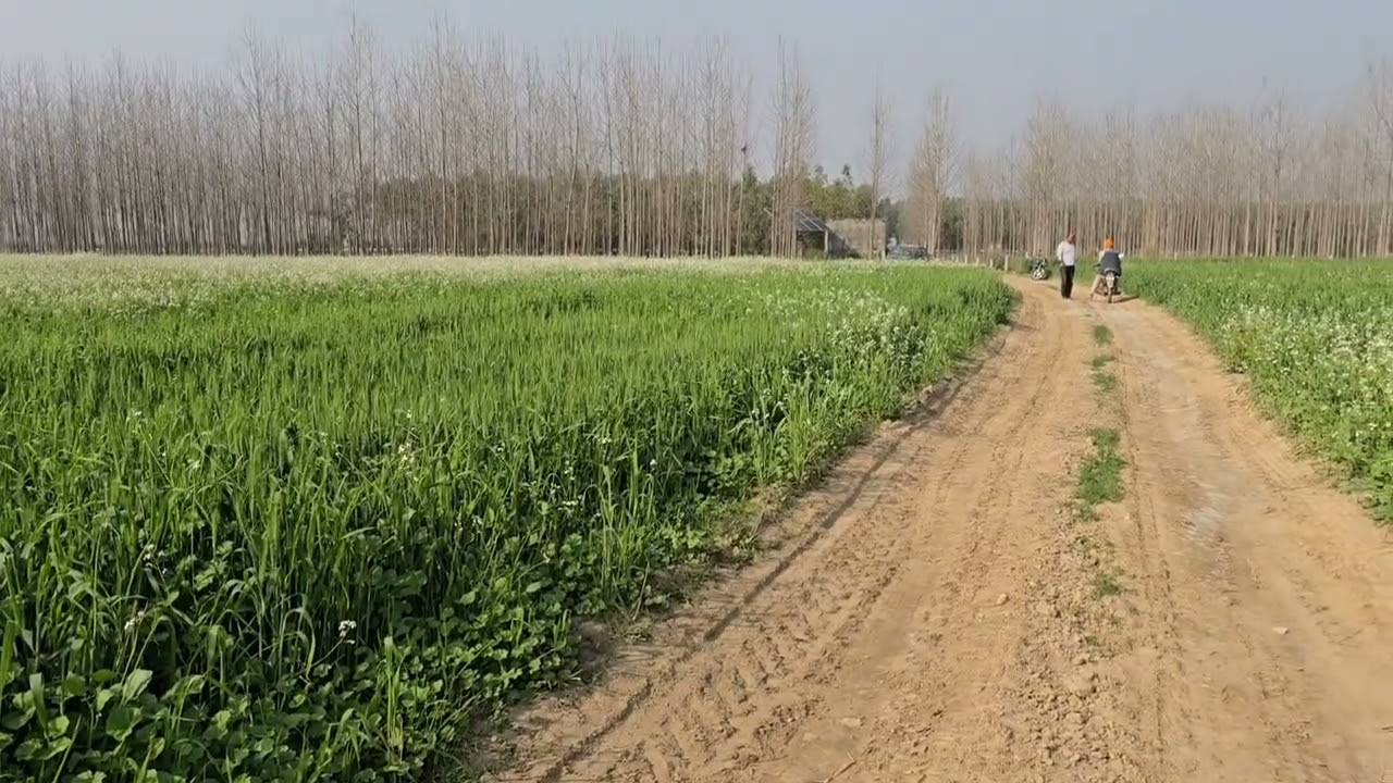 10.5 acre land with 2 solar pump for sale  hoshiarpur Hargobindpur Gurdaspur 9316167007,8284905110 