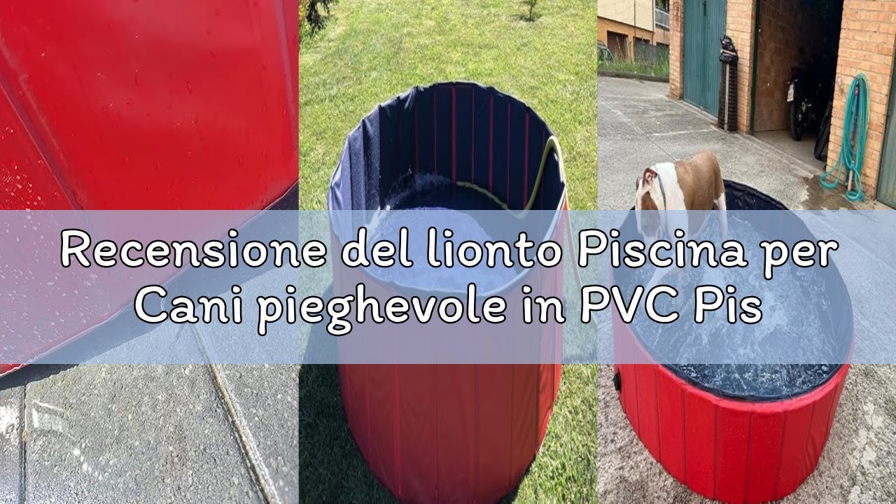 Recensione del lionto Piscina per Cani pieghevole in PVC Piscinetta per Cani Bagno per Cani Piscina