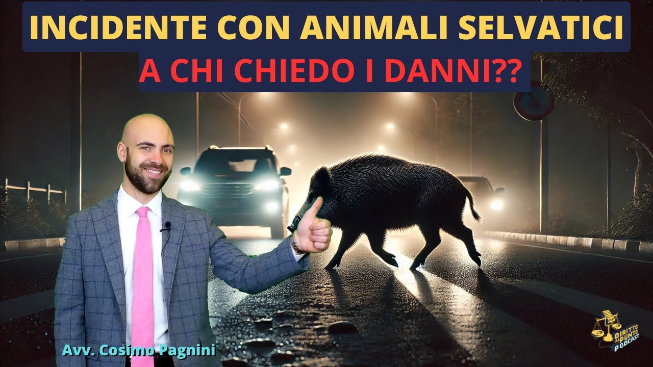 Incidente con ANIMALI SELVATICI. A chi chiedo i danni?