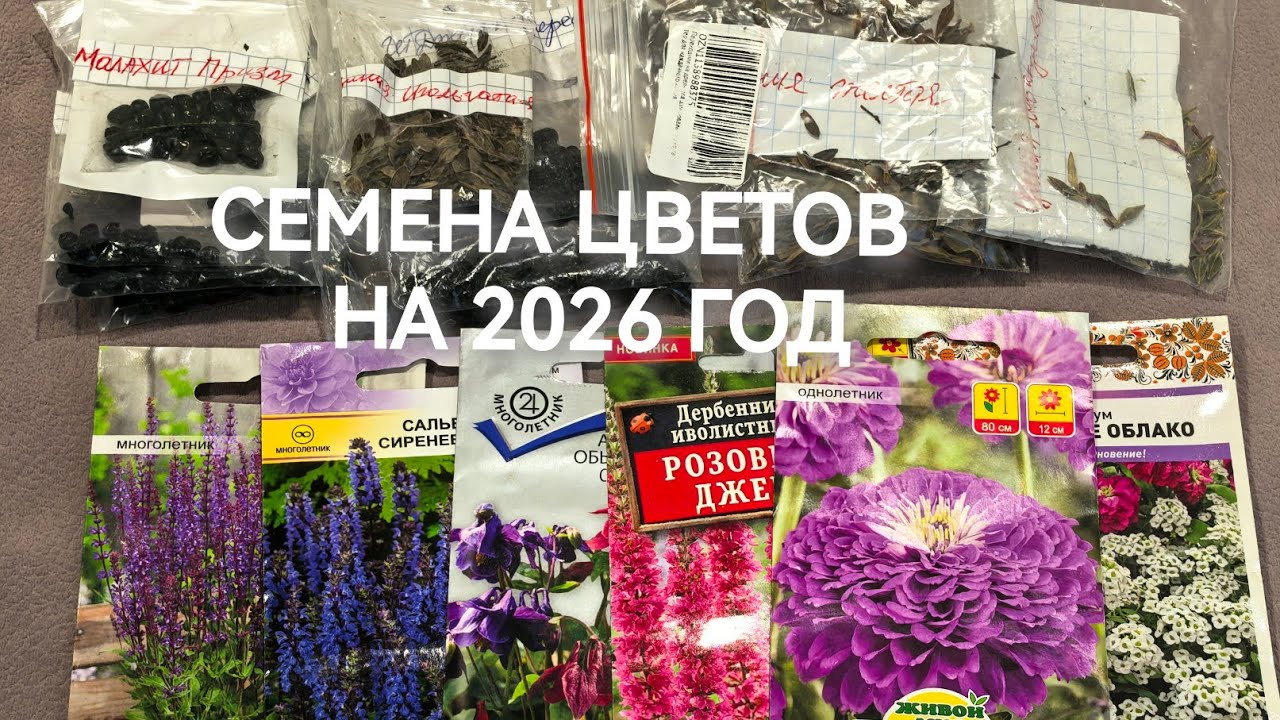 Какие цветы буду сеять в 2026 году