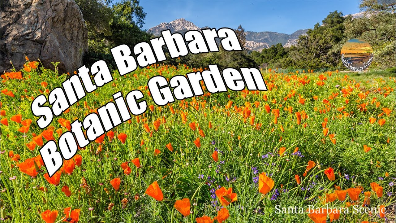 Santa Barbara Botanic Garden