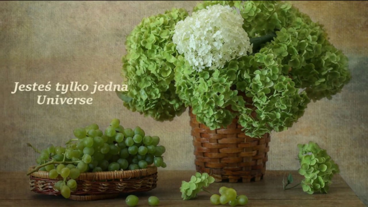 Jesteś tylko jedna - Universe