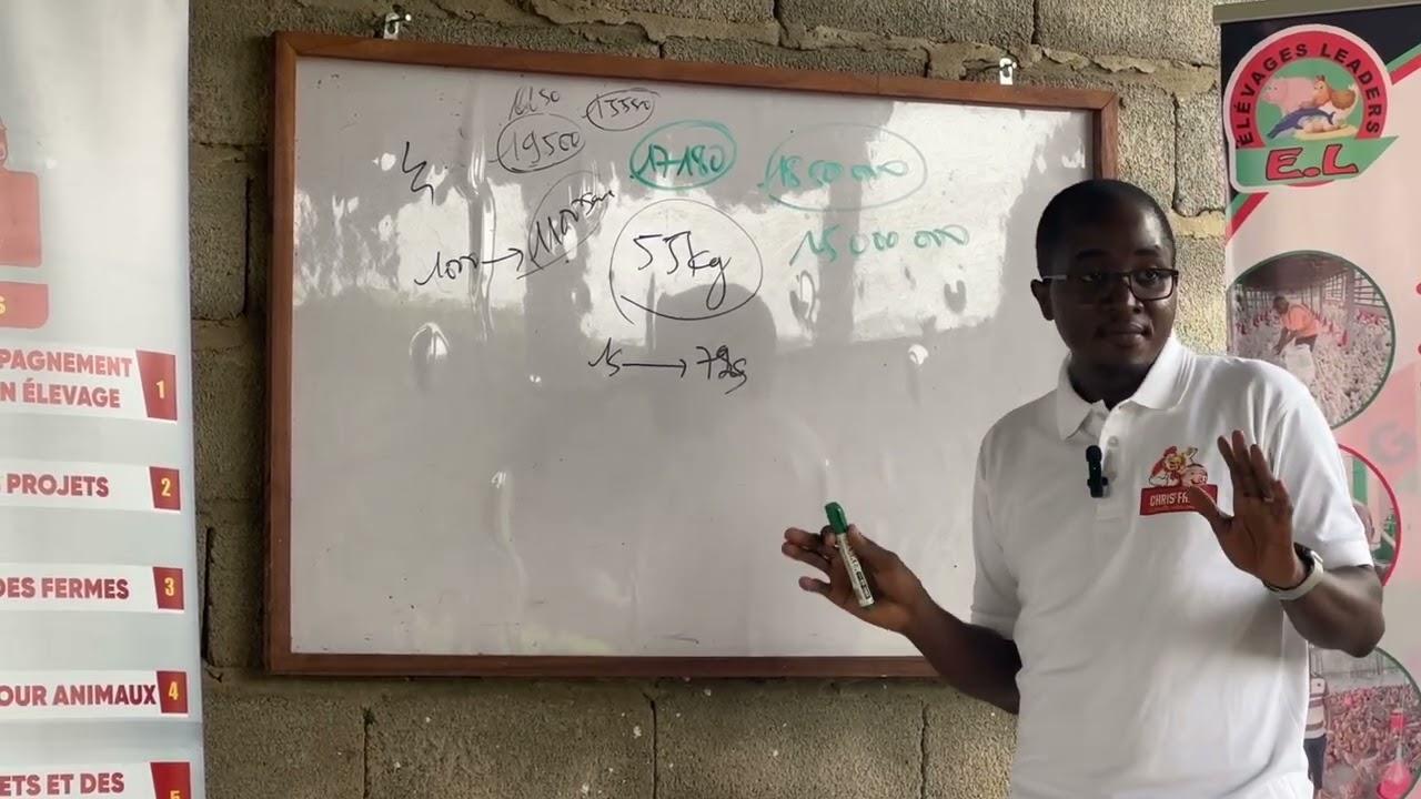 Parlons de la rentabilité de l’élevage des poules pondeuses en Afrique