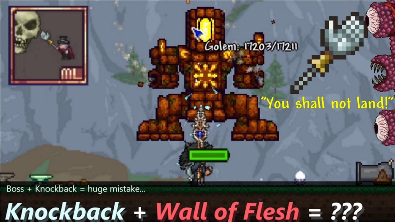 Thought Knockback in Terraria was boring..? ─ There were reasons why we couldn't push bosses...