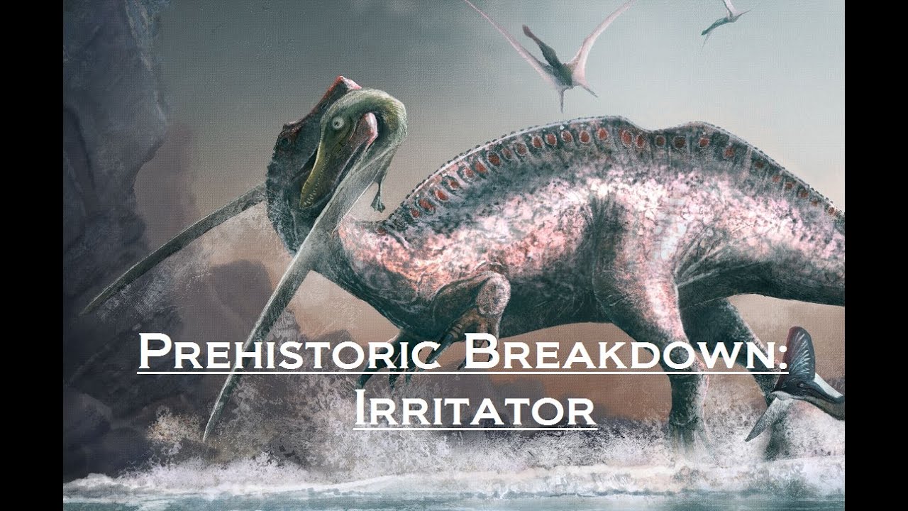 Prehistoric Breakdown: Irritator