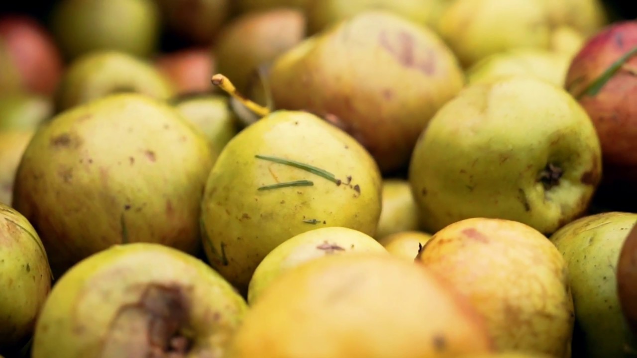 Secret Orchard : Our Story
