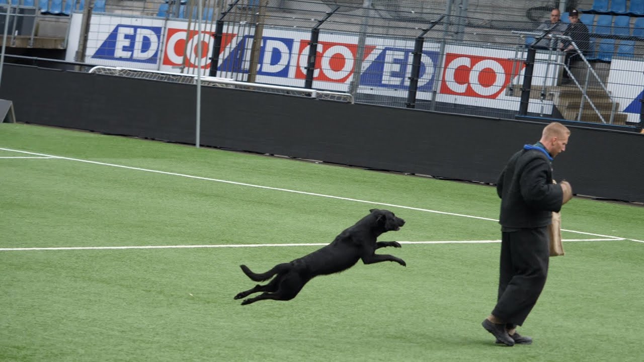 Nationale Kampioenschappen KNPV 2023