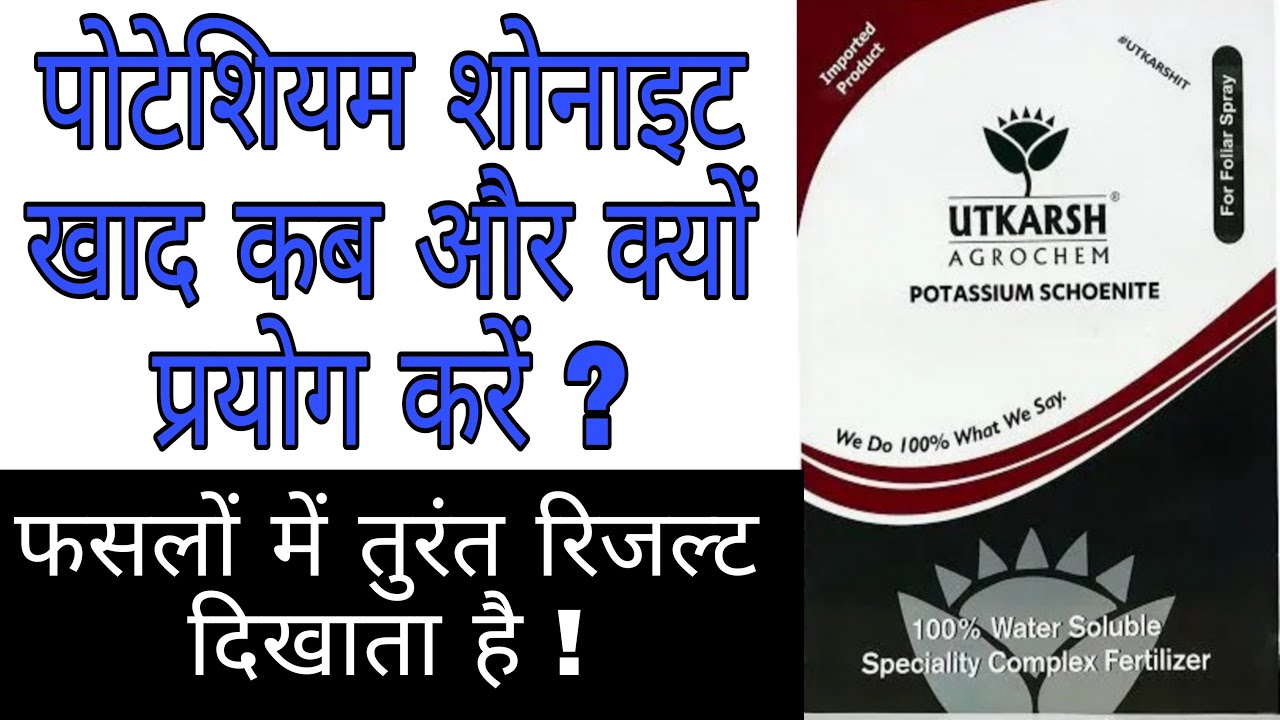 ऐसी खाद जिसके हैं फसलों में केवल फायदे ही फायदे | potassium schoenite||