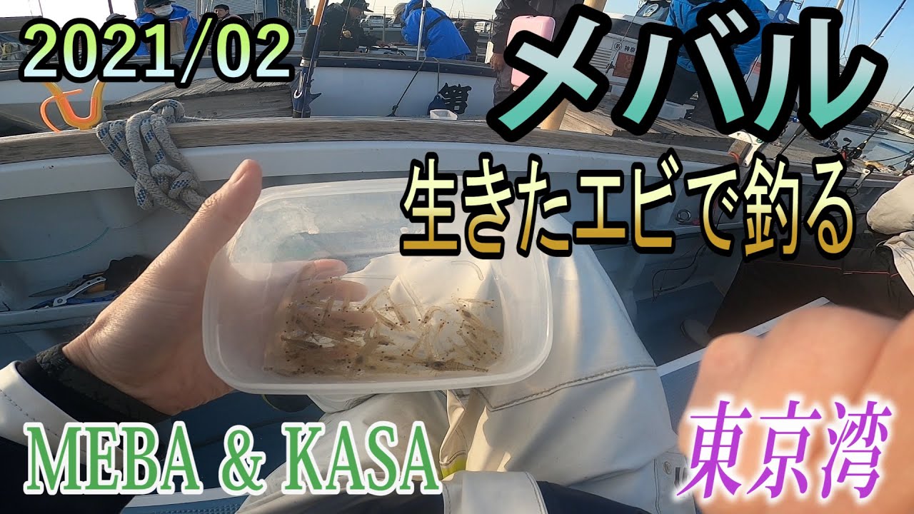 【船釣りメバル】 2月！春を先どれエビメバル！！