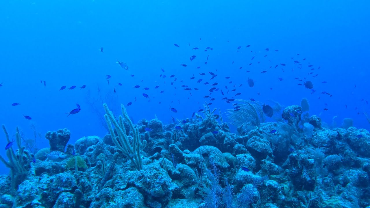Grand Turk Scuba Diving 2026