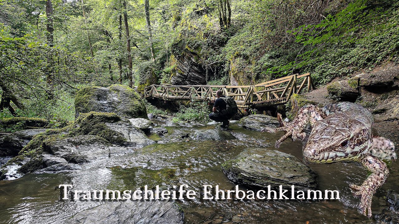 Wanderung durch die Ehrbachklamm/ Traumschleife Ehrbachklamm