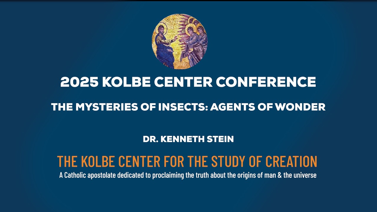 The Mysteries of Insects: Agents of Wonder | Dr. Kenneth Stein
