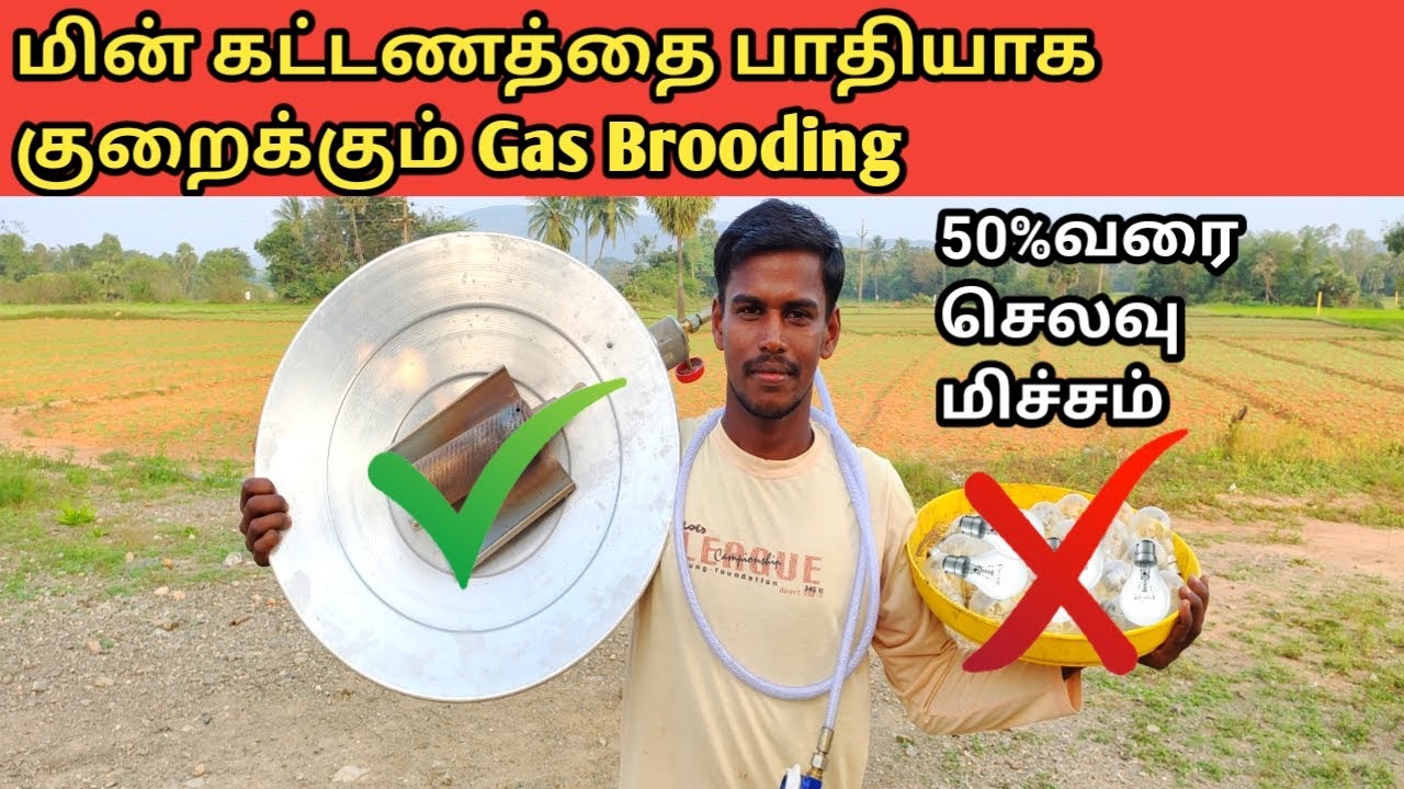 மின்கட்டணத்தை பாதியாக குறைக்கும் Gas Brooding | எந்த புரூடிங் சிறந்தது?|Brooding comparison in Tamil