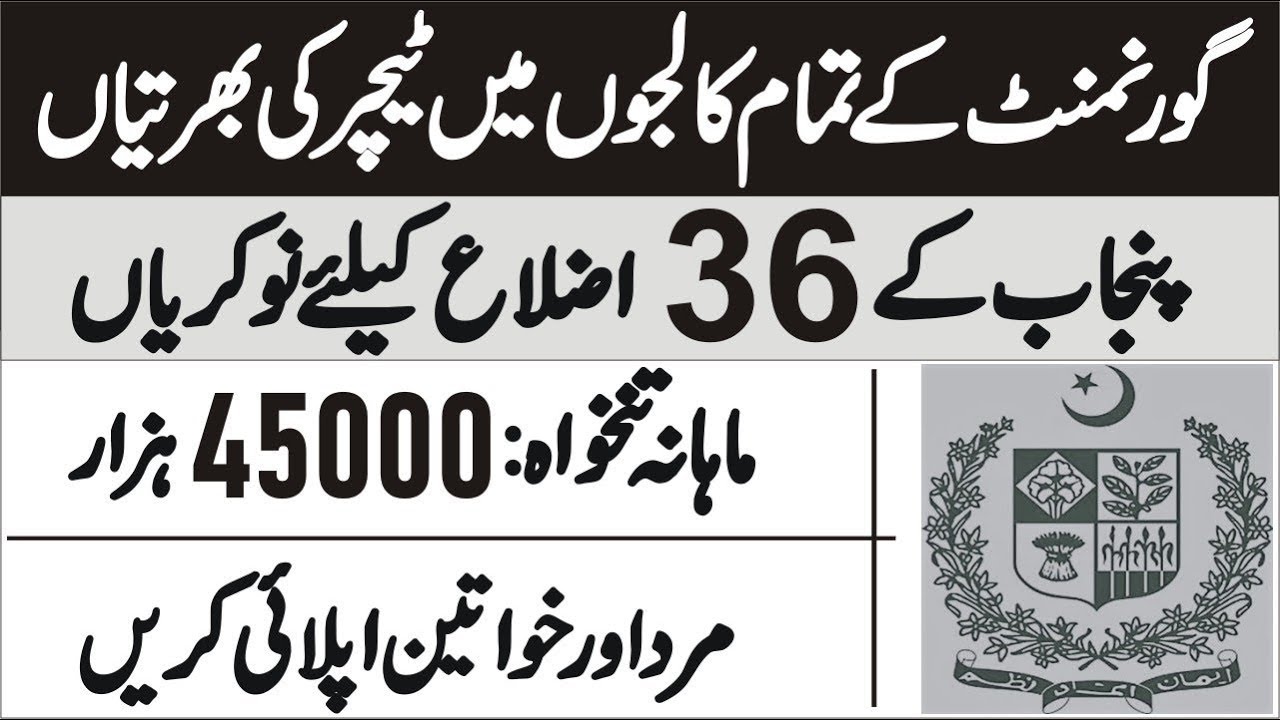 CTI Jobs 2023 College Teaching Interns Announces in HED Punjab 2022 2023
