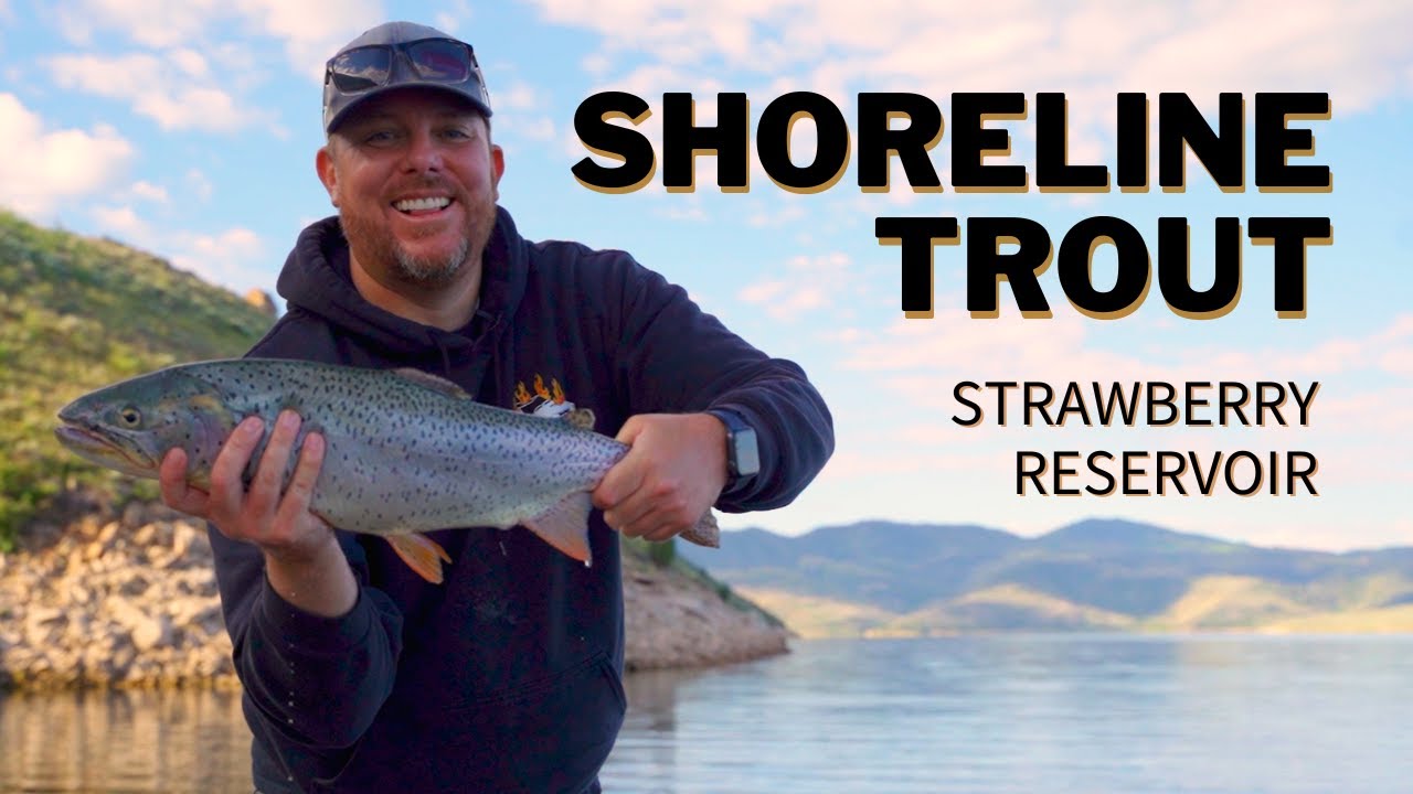 Fishing Shoreline Trout at Strawberry Reservoir || REELZ