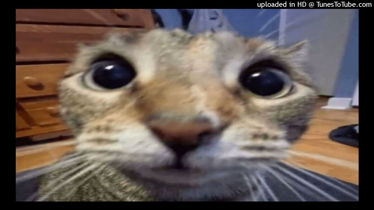 The Black Eyed Peas - Just Can't Get Enough (Slowed & Reverb to Perfection)