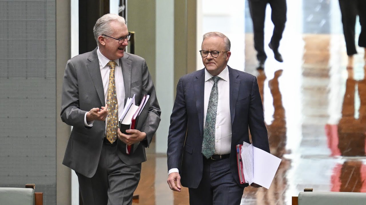 Labor government accused of ‘turning a blind eye’ to ISIS brides issue