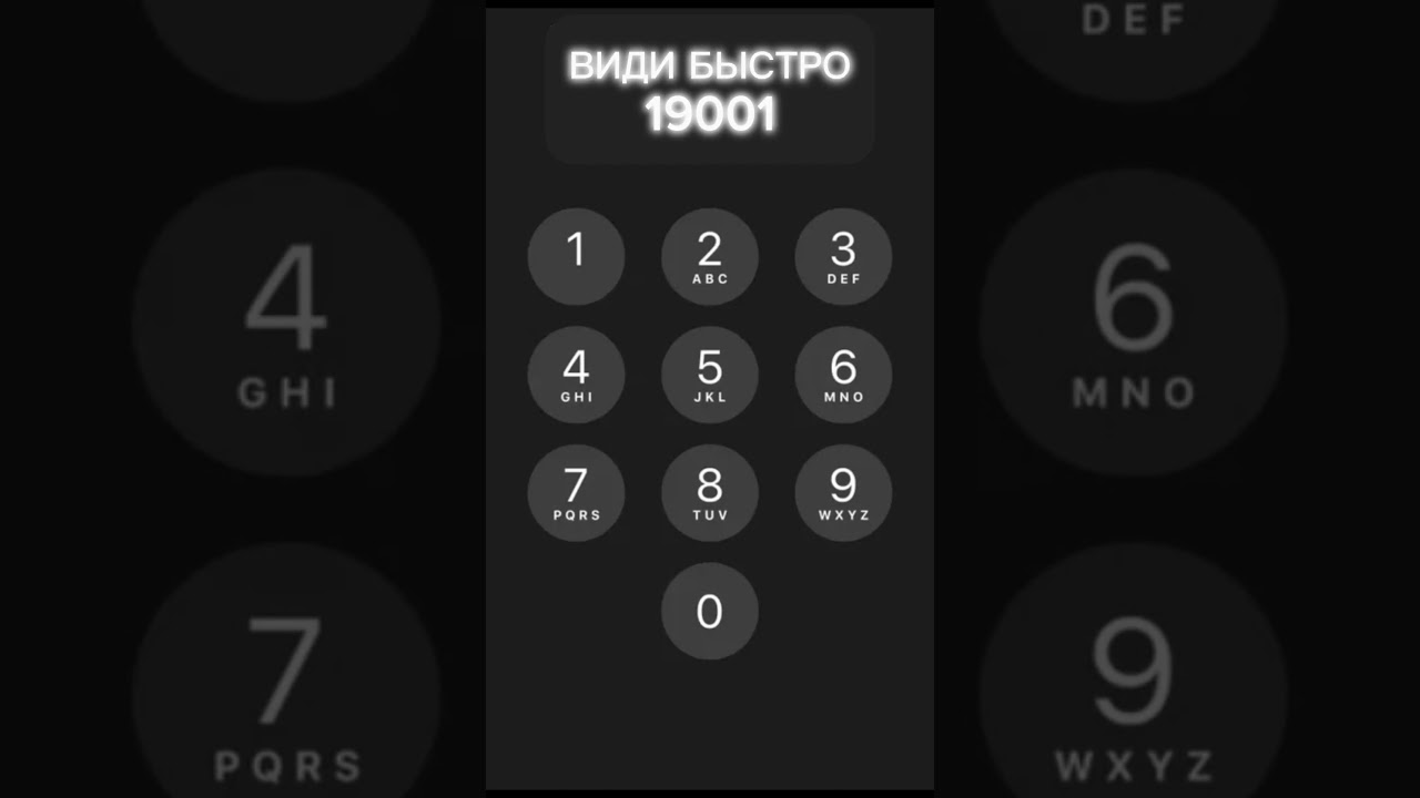ВИДИ БЫСТРО 19001