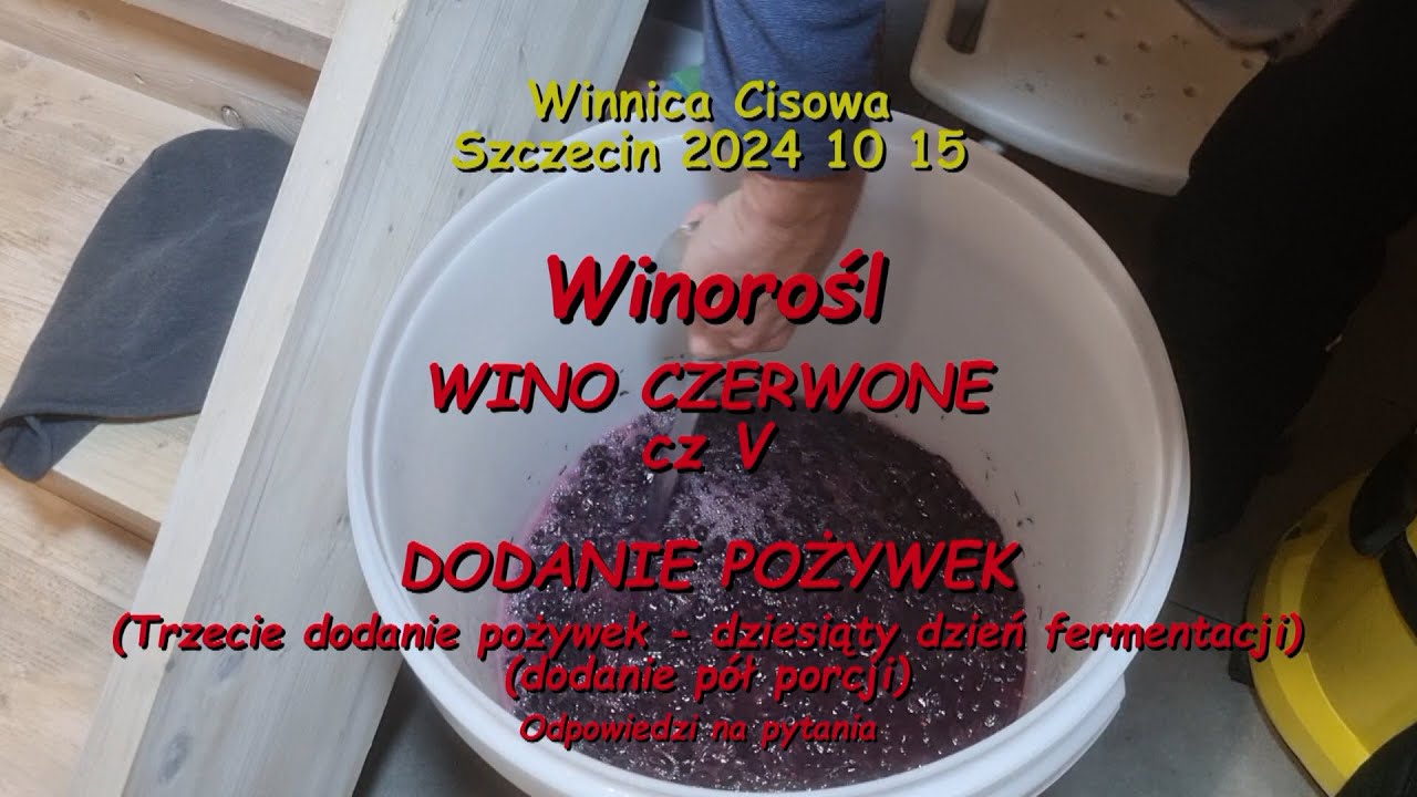 WINOROŚL - WINO CZERWONE cz. V (dodanie pożywek III) - Winnica Cisowa 2024 10 15
