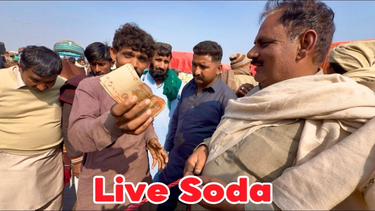 Live Soda Lahore Cow Mandi Shapur Kanjra Desi Bachre | Laat Ka Mall | Lahori Shauk 