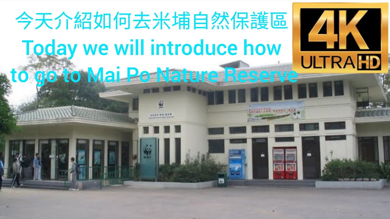 4Kmovie ( 廣東話影片 ) 今天介紹如何去米埔自然保護區 Today we will introduce how to go to Mai Po Nature Reserve