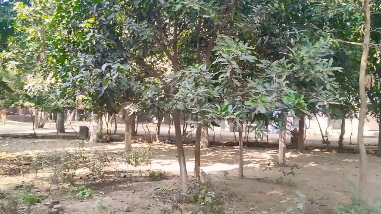 @Dumri high school@ #best school in #bihar as per location
