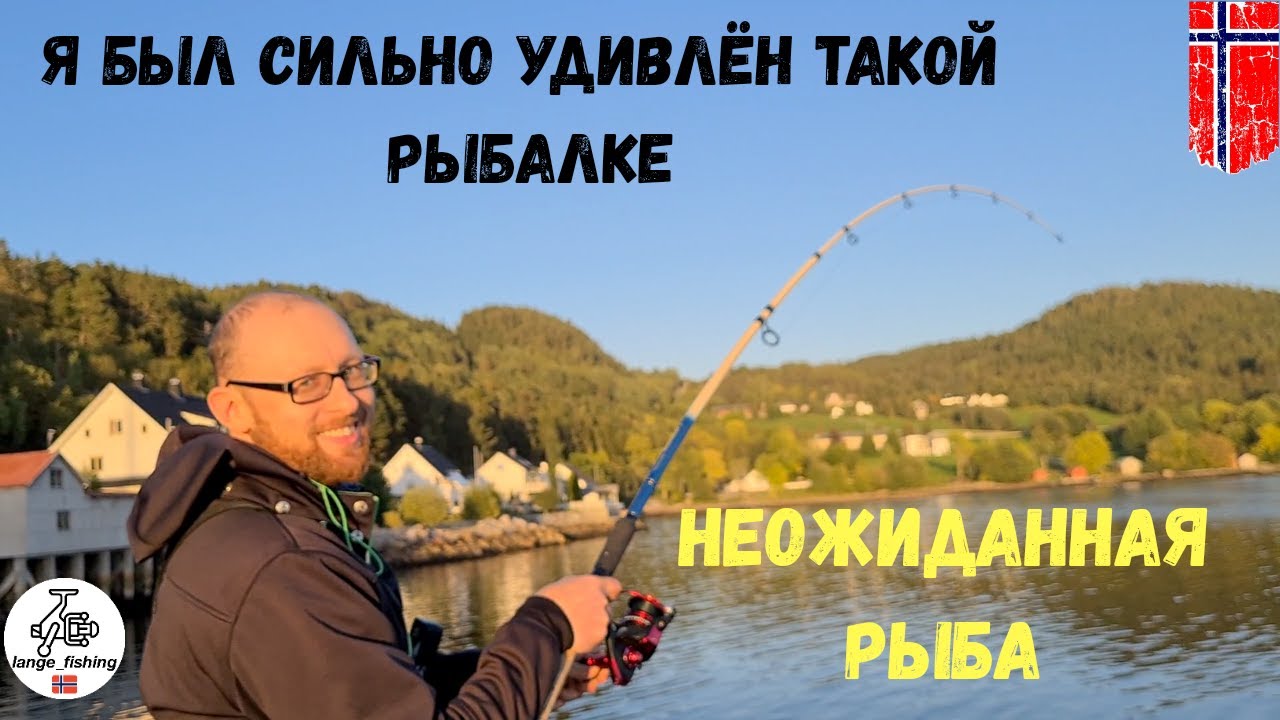 Вышли с УДОЧКАМИ на БЕРЕГ и БЫЛИ ПРИЯТНО УДИВЛЕНЫ!!! НЕОЖИДАННАЯ РЫБА! Рыбалка в Норвегии. Норвегия.