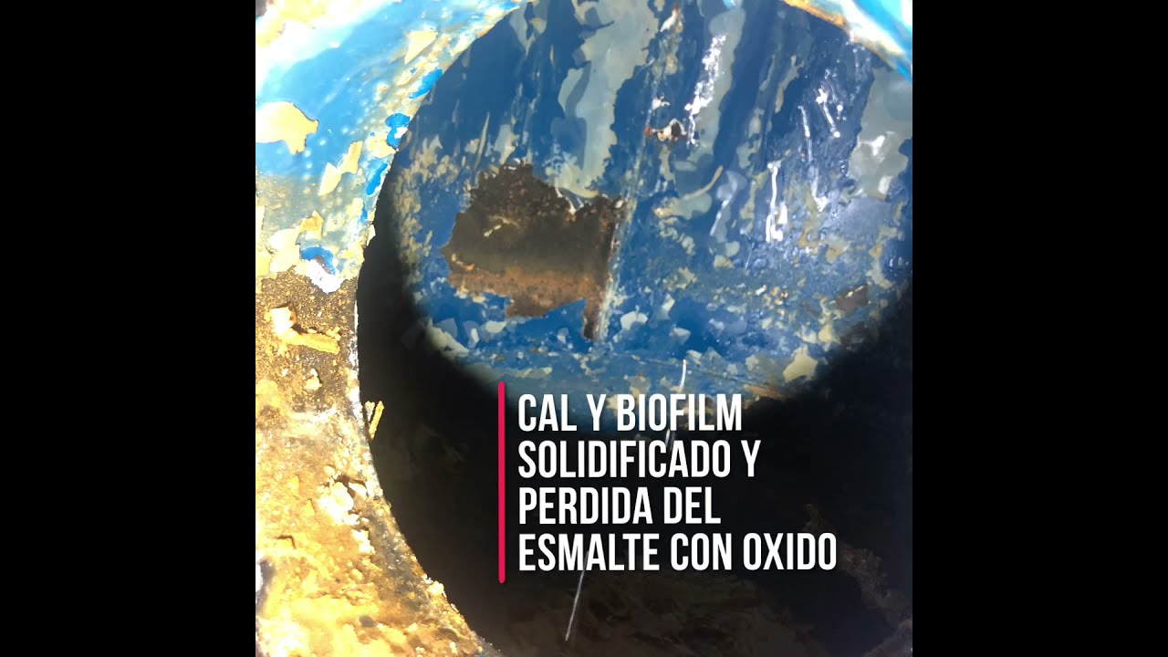 Limpieza de acumulador ACS completamente calcificado. Legionella