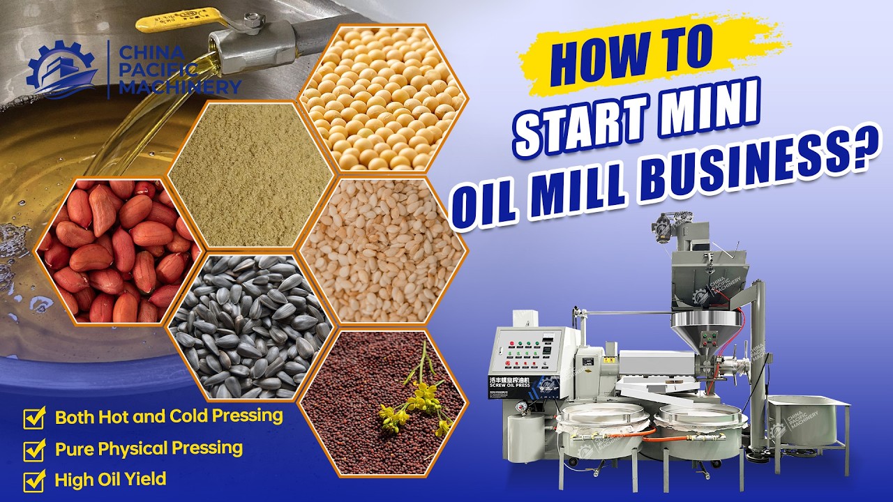 How to Start a Small Cooking Oil Production Business?|Automatic Screw Edible Seeds Oil Press Machine