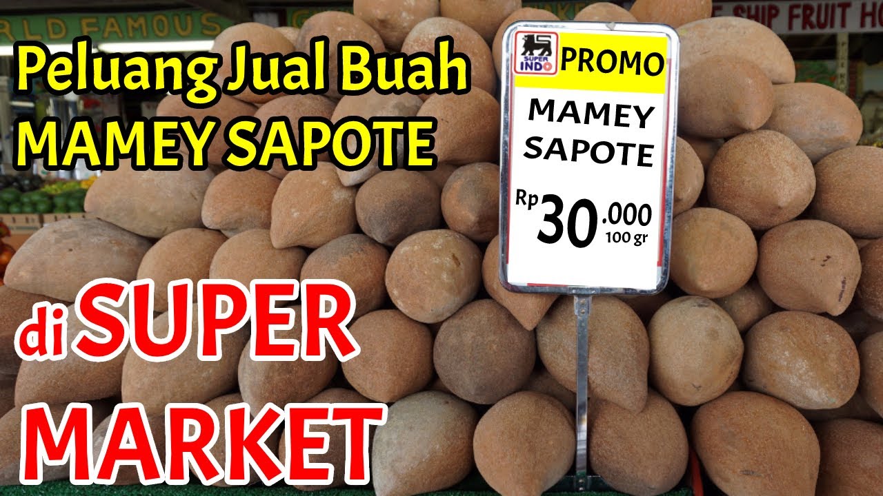 Berapa Pendapatan Yang di Hasilkan dari 1 Pohon Mamey sapote Keywest? Di Swalayan Ludes Dalam 7 Hari
