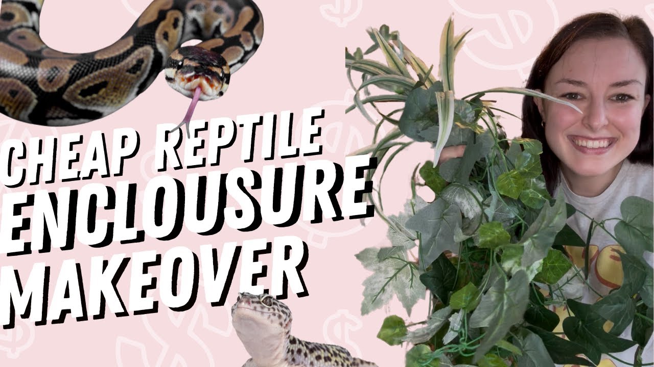 Reptile Decor on a Budget 🦎💸🌿 | Thrifting Fake Plants for Cheap, Aesthetic Tank Setups