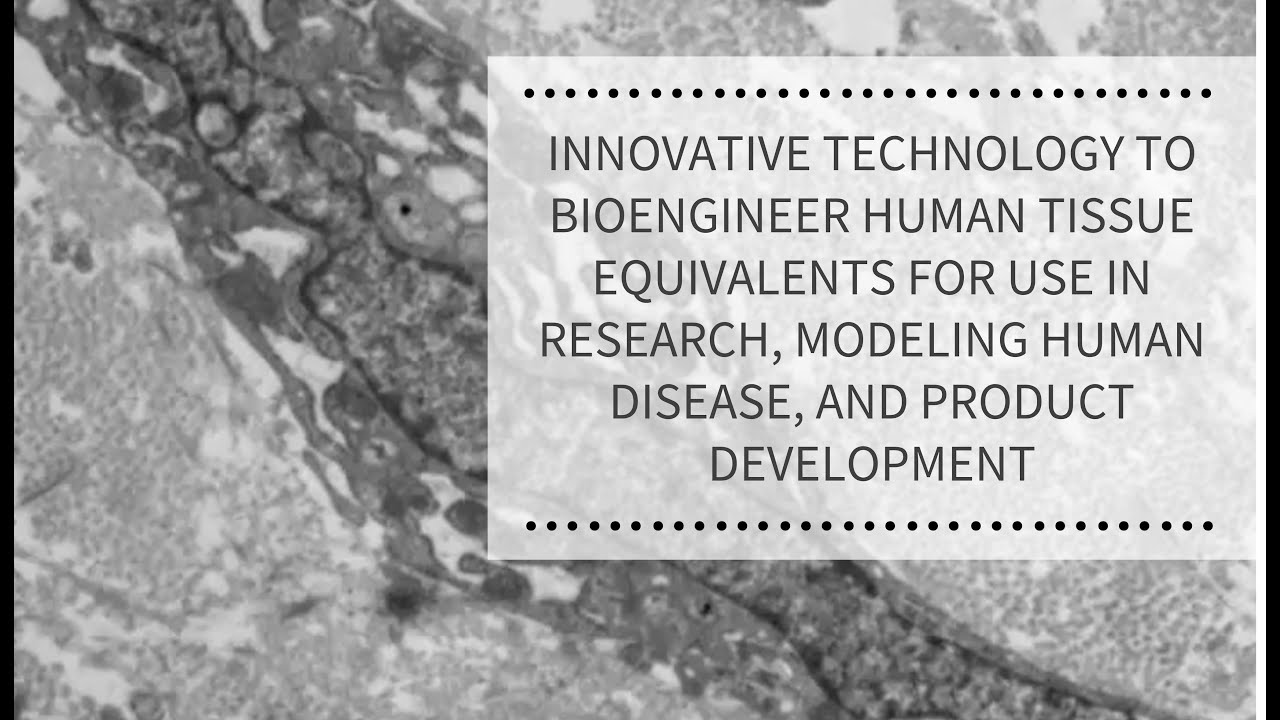 Innovative Technology to Bioengineer Human Tissue | REPROCELL