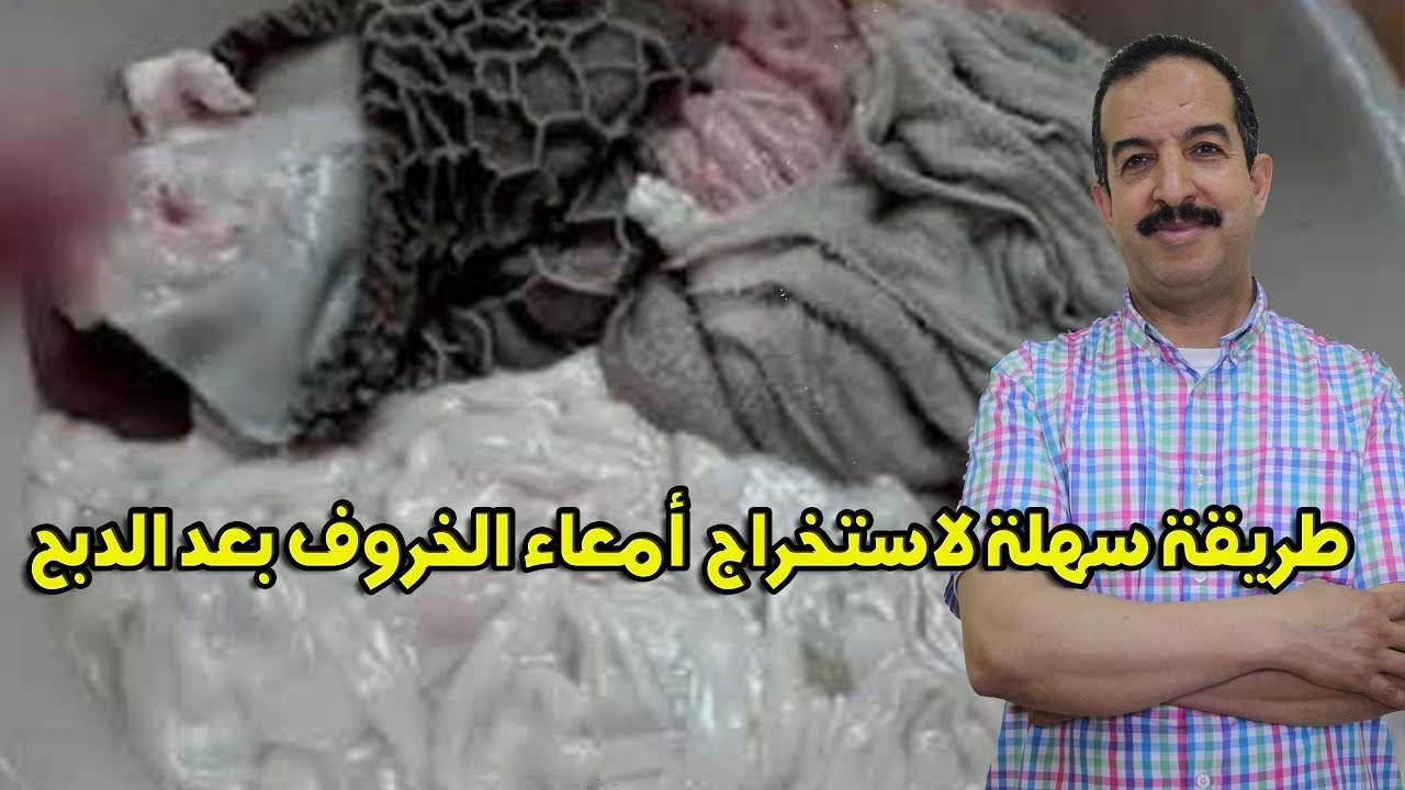 الطريقة السليمة لاستخراج أمعاء الخروف بعد دبحه