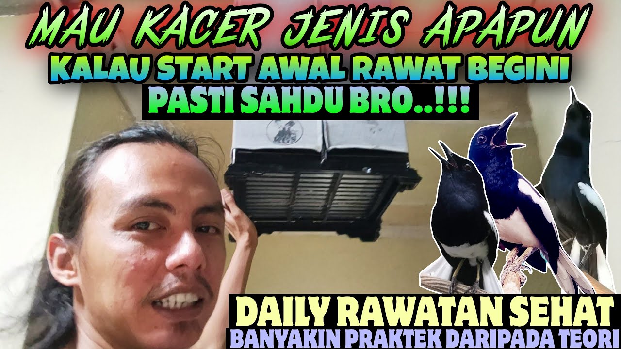 START AWAL RAWAT KACER CUKUP BEGINI SAJA ⁉️ MAU KACER JENIS APAPUN JADI MUDAH