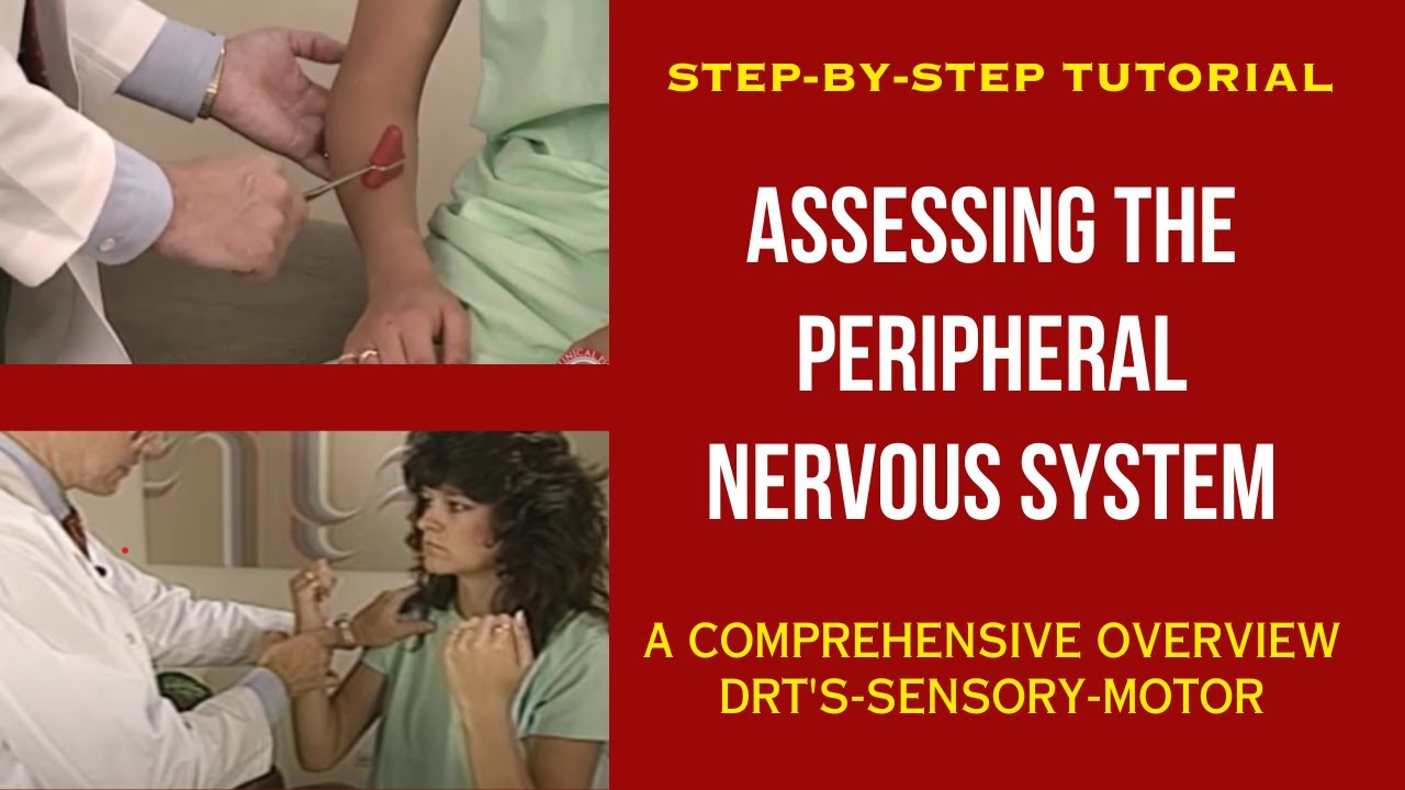 How to Assess the Peripheral Nervous System